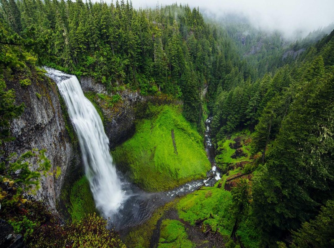 Visualizing 186 cm: How Tall Is It Really?