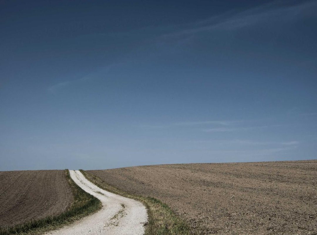 Scent Showdown: The Original 1 Million vs. Its Mercadona Alternative