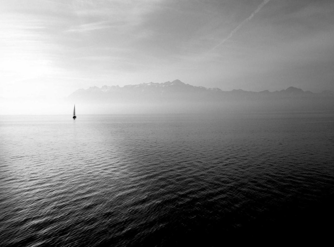 Step-by-Step: Sending GIFs on Popular Messaging Apps